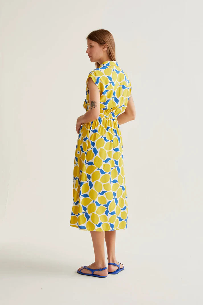 Long dress limoncello